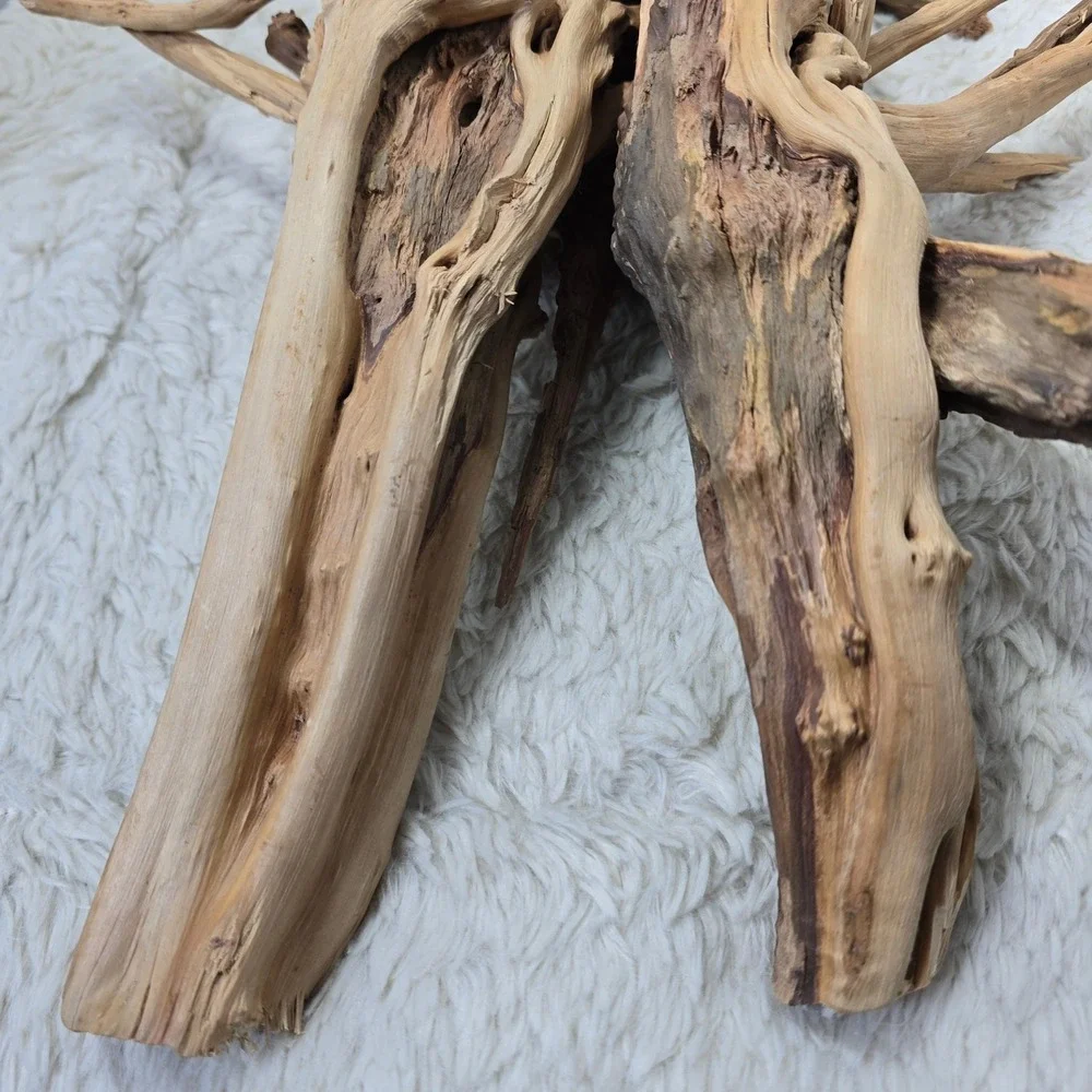 Natural Driftwood Aquarium Terrarium Decor 16 Inch Tan Large Root‎ Sculpture